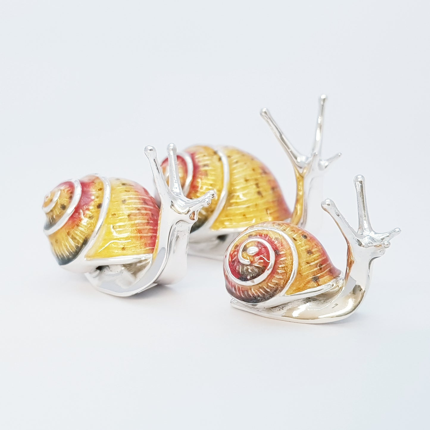 Silver Snails