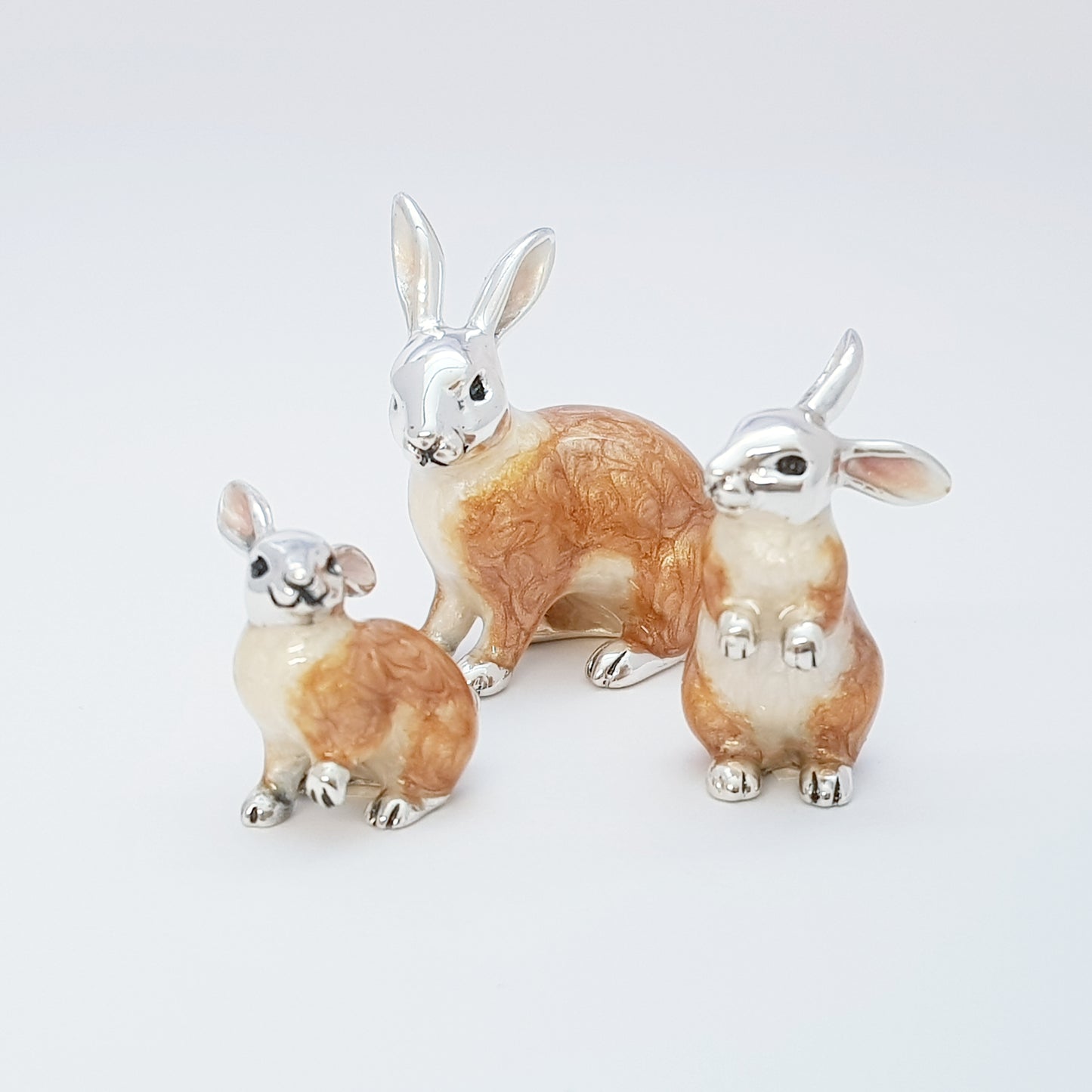 Family of Rabbits
