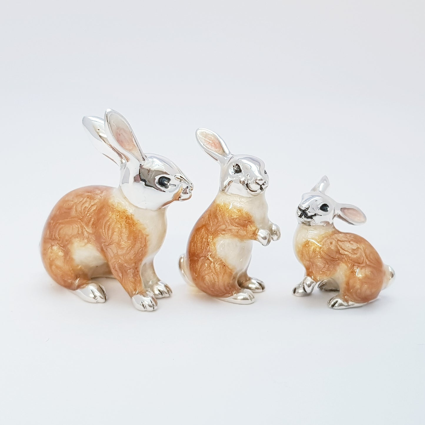 Family of Rabbits