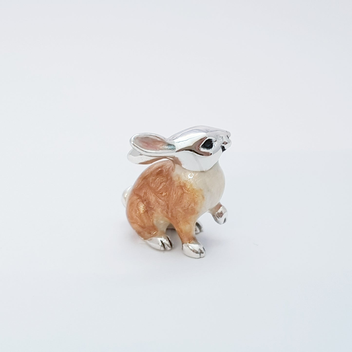 Family of Rabbits