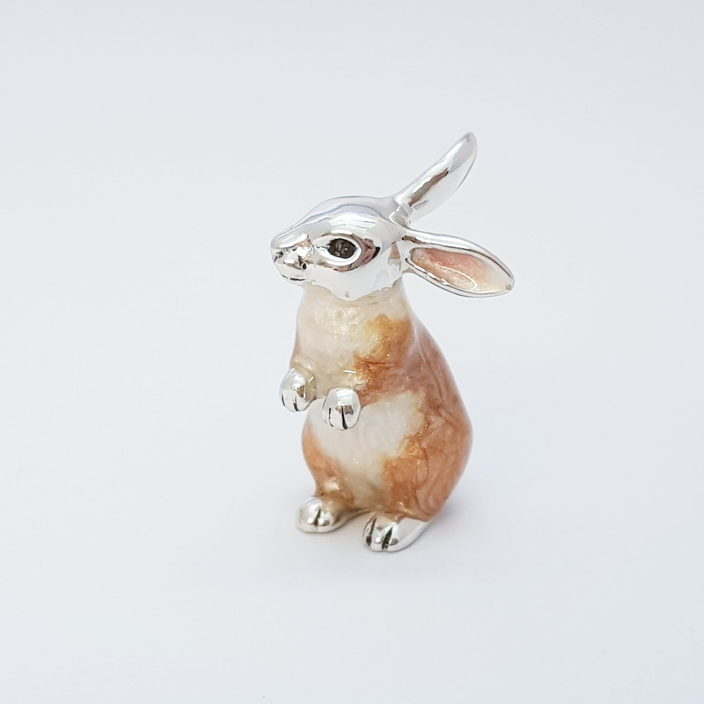 Family of Rabbits