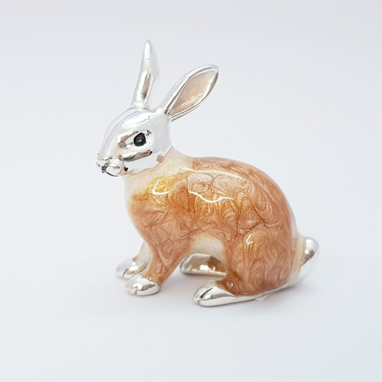 Family of Rabbits