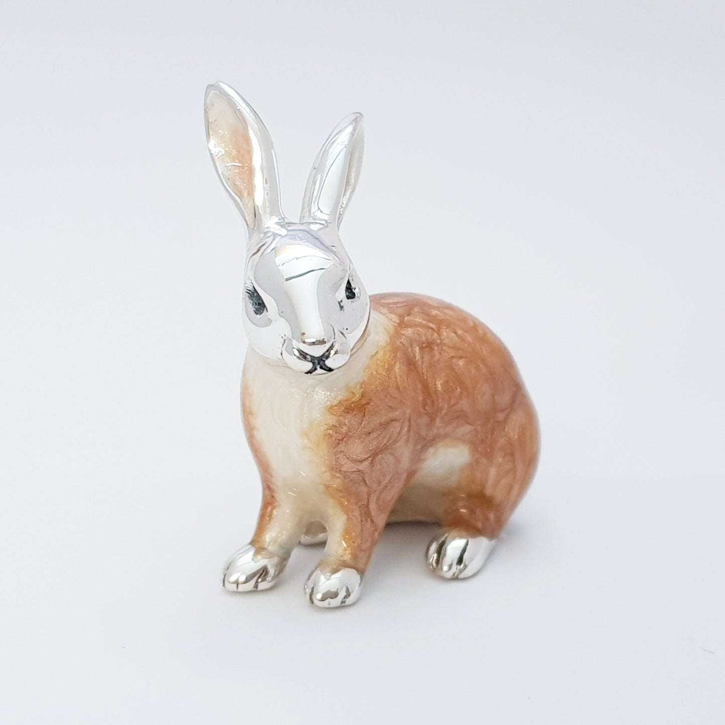 Family of Rabbits