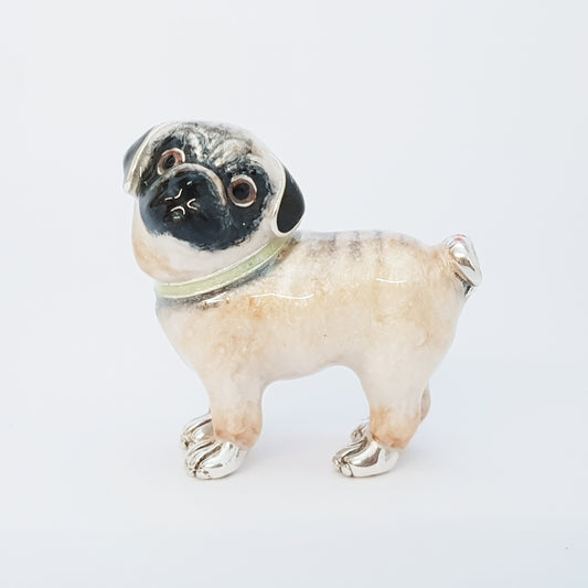 Silver Pug