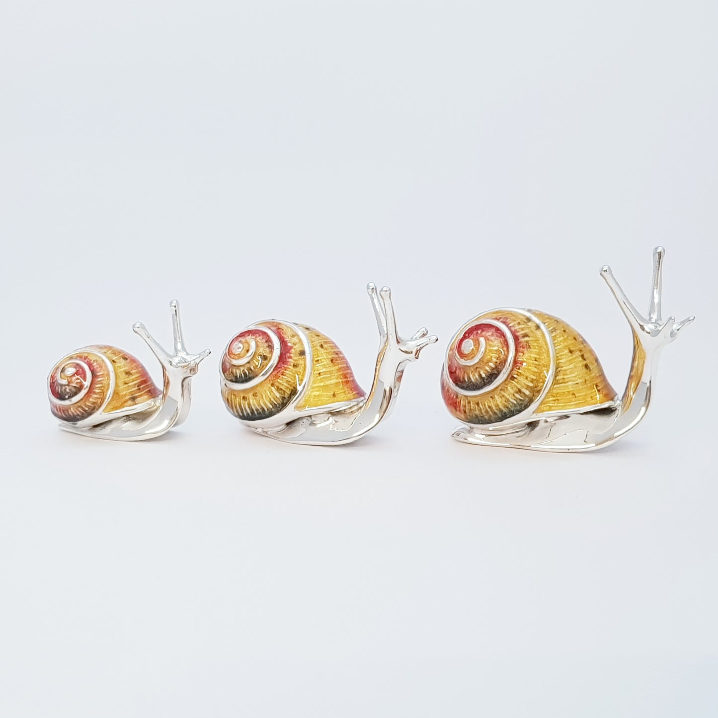 Silver Snails