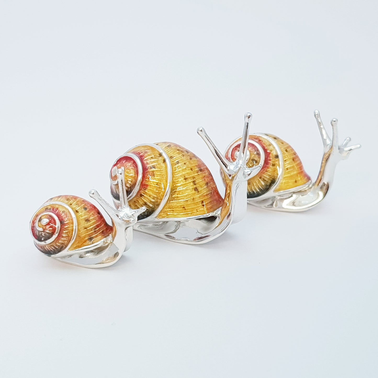 Silver Snails