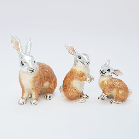 Family of Rabbits